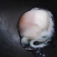 ズボラ主婦必見!2分で簡単温泉卵風たまご