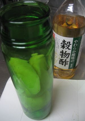 りんご酢　砂糖ゼロ　調味料として使います-レシピのメイン写真