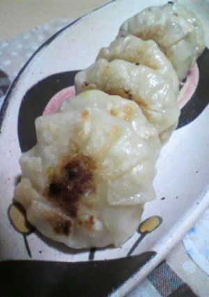 オシャレヘルシー餃子-レシピのメイン写真