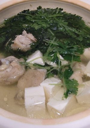 素材を味わう鶏の水炊き-レシピのメイン写真