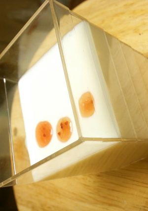カロリーオフ♪　濃厚レアチーズケーキ-レシピのメイン写真