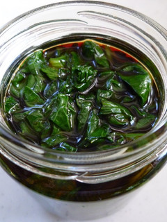 わさびの葉っぱの醤油漬け-レシピのメイン写真