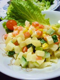 野菜のコロコロサラダ-レシピのメイン写真