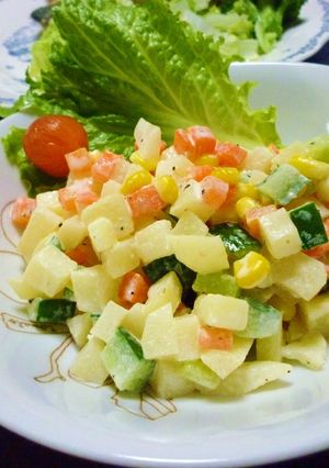 野菜のコロコロサラダ-レシピのメイン写真
