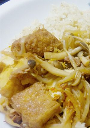 厚揚げ、チン！で野菜たっぷりの丼-レシピのメイン写真