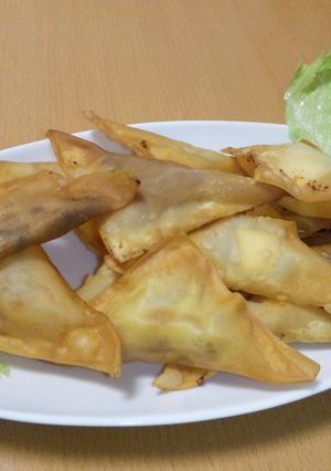 ワンタンかんたんおつまみ♪-レシピのメイン写真