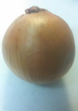 玉ねぎ★皮むき-レシピのメイン写真