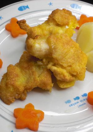 ささみのナゲット-レシピのメイン写真