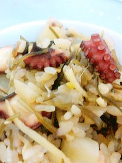 長芋としょうがのたこ飯★★★-レシピのメイン写真