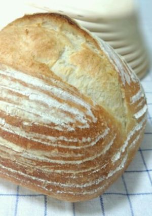 お餅のカンパーニュ-レシピのメイン写真