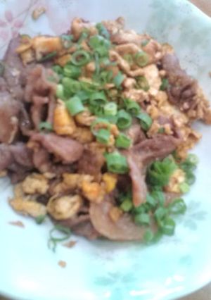 簡単！豚肉と卵のソース炒め★-レシピのメイン写真
