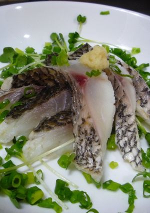 釣り人が作る締めクロダイ-レシピのメイン写真