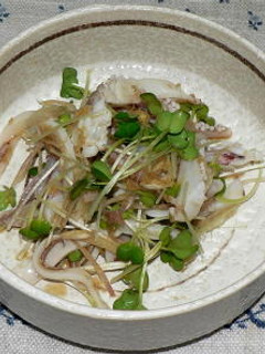 ヤリイカの下足と香味野菜の生姜風味-レシピのメイン写真