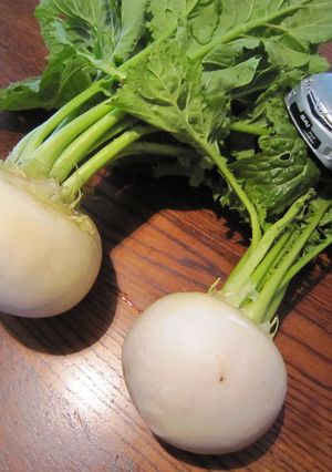 美味しい「かぶら漬」-レシピのメイン写真
