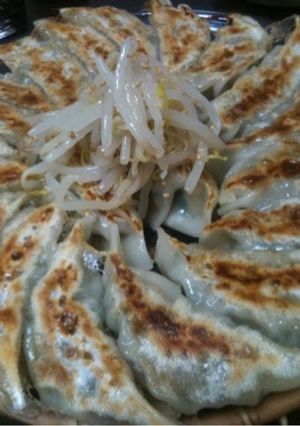 ケンタロウ風餃子-レシピのメイン写真