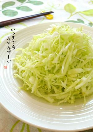 いつまでもみずみずしい*キャベツの千切り-レシピのメイン写真