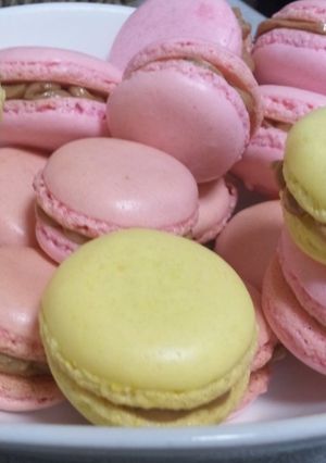 はじめてのマカロン-レシピのメイン写真