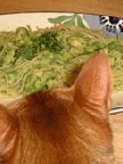 アボカドとしその簡単和風パスタ-レシピのメイン写真
