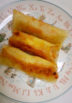 おさかなソーセージでカレー風味春巻き-レシピのメイン写真