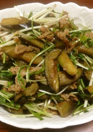 牛肉と茄子と水菜和え-レシピのメイン写真