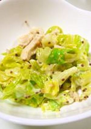 蒸し鶏とキャベツのサラダ-レシピのメイン写真