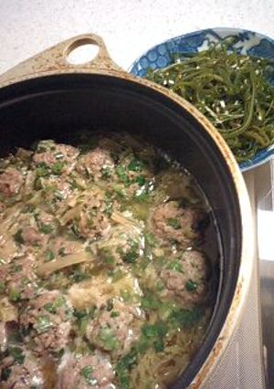 ニラ肉団子と白菜のうま煮☆副菜付き♪-レシピのメイン写真