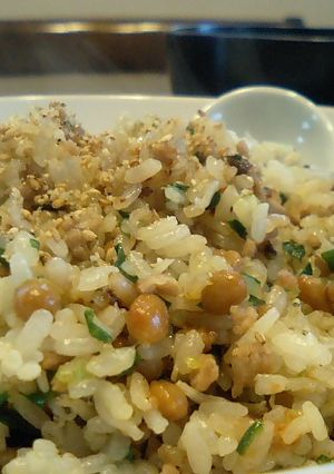 具だくさん納豆チャーハン-レシピのメイン写真