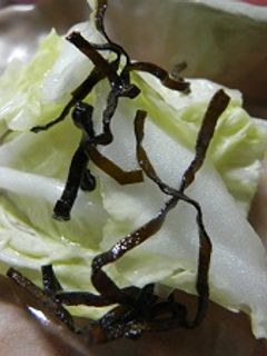 塩昆布で白菜の漬物-レシピのメイン写真