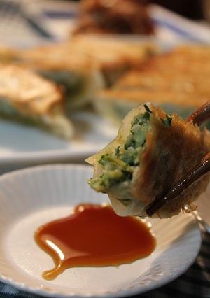 お野菜たっぷり！　レンコンと春菊の餃子-レシピのメイン写真