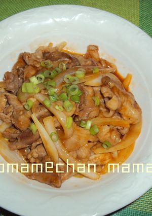 ♪豚バラのコチュジャン炒め♪-レシピのメイン写真