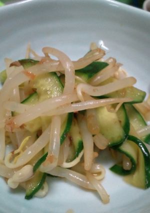 子供もOK。もやしきゅうりの柚子胡椒冷菜-レシピのメイン写真