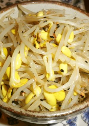 豆もやしのピリ辛おひたし-レシピのメイン写真