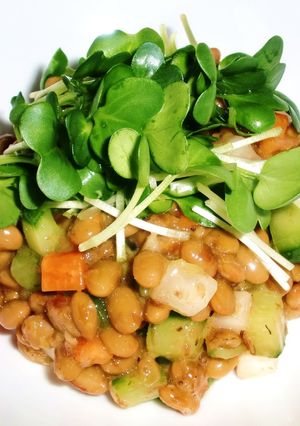 お野菜も一緒に食べる　カラフル納豆-レシピのメイン写真