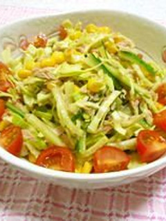 青じそさっぱりサラダ-レシピのメイン写真