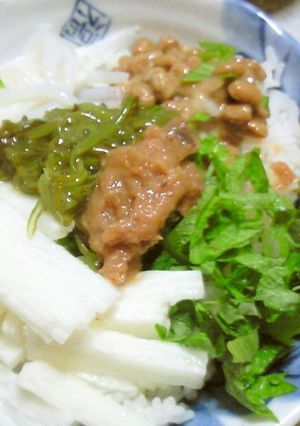 シラス・梅・長芋・大葉・色々乗っけて丼-レシピのメイン写真