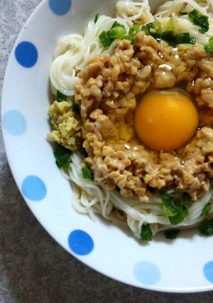 夏も冬も納豆そうめん！-レシピのメイン写真