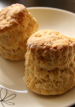 冬味♪酒粕スコーン-レシピのメイン写真