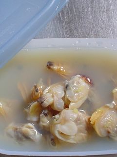 あさりの酒蒸し 冷凍で保存-レシピのメイン写真