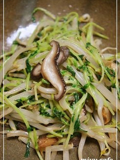 豆苗ともやしのしゃきしゃきマヨ炒♪-レシピのメイン写真