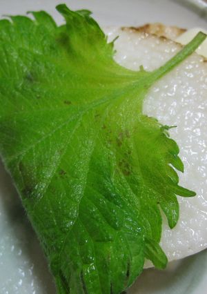 長芋のチーズはさみ焼き☆-レシピのメイン写真