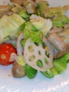 野菜ごま塩炒め-レシピのメイン写真