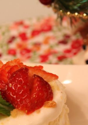 わんこ大好きっ☆クリスマスケーキっ♪-レシピのメイン写真