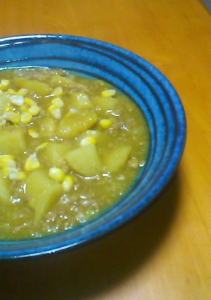 ｼﾞｬｶﾞｲﾓのとろろ味噌ｶﾚｰ煮込み☆-レシピのメイン写真