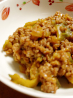 ゴーヤとひき肉のケチャップ炒め-レシピのメイン写真
