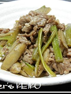 【農家のレシピ】葉ゴボウと牛肉の煮物-レシピのメイン写真