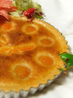 ✾缶詰アプリコットのタルト✾-レシピのメイン写真