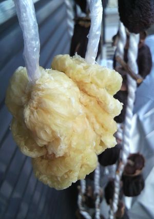 大根保存ならへそ大根♪-レシピのメイン写真