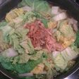 簡単白菜とシーチキン煮