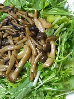 水菜ときのこの簡単サラダ-レシピのメイン写真