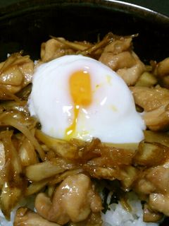卵のせ☆甘辛鶏ごぼう丼-レシピのメイン写真